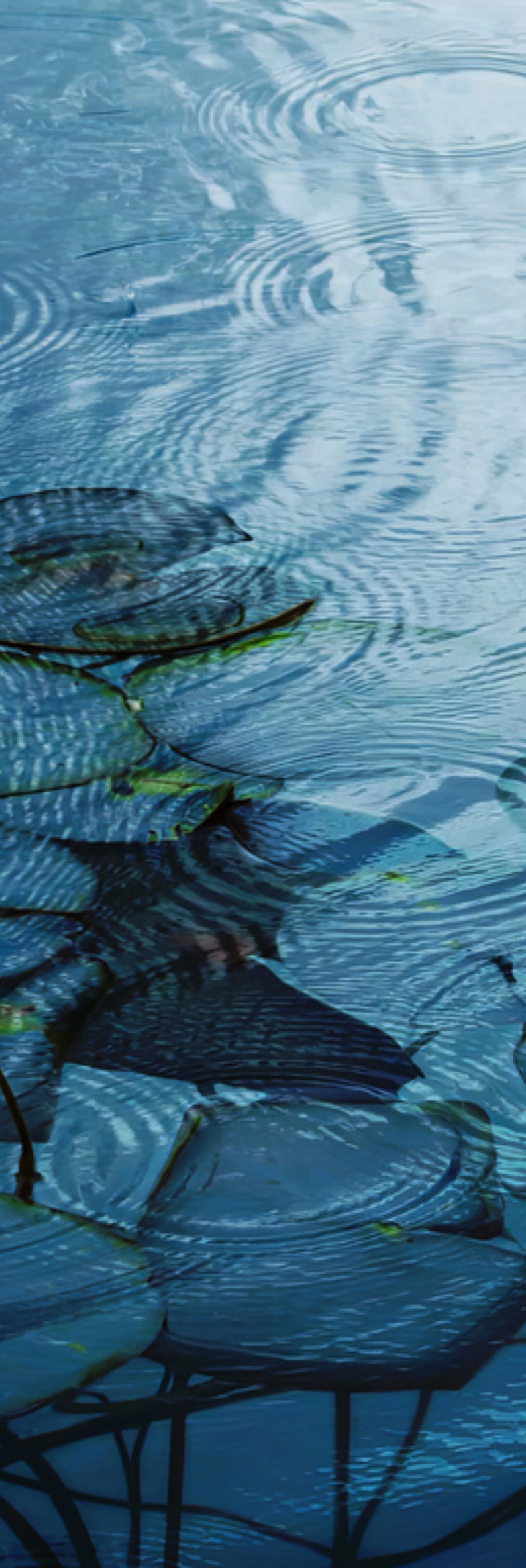 Therapy Services in North Phoenix & Arizona Our trauma therapy sessions in North Phoenix and Arizona incorporates EMDR and creative arts interventions for deeper healing